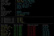 LayerHost美国VPS测评:四网9929,3.99美元/月,支持支付宝,KVM虚拟化和OVZ虚拟化均测评_vps加油站