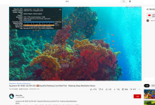 cloudcone/RackNerd/virmach/Oracle东京,油管晚高峰测速对比_vps加油站