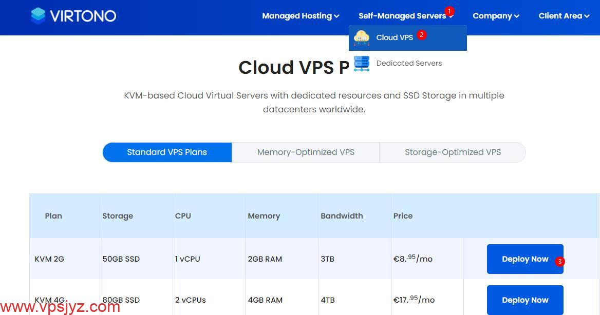 Virtono VPS云服务器购买教程