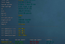 TNAHosting美国vps:5美元/月【付测评】KVM虚拟化4G内存_vps加油站