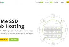 SteadyTurtle美国达拉斯VPS:2核6G/40GB NVMe/1TB流量/1Gbps/9.95美元/月,免费Windows系统_vps加油站