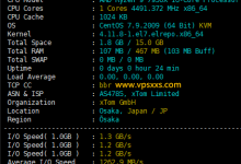 ZgoCloud日本大阪IIJ线路VPS测评:看视频24万+速度惊人,三网往返直连延迟低,但是解锁能力差_vps加油站