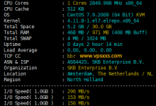 Phanes Cloud荷兰VPS测评:电信联通去程绕美国,剩余往返直连,适合联通用户,抗投诉可以一试_vps加油站