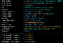 TotHost越南VNPT线路ISP IP VPS测评:越南ISP住宅原生IP,电信联通往返直连,Tiktok短视频外贸必备_vps加油站