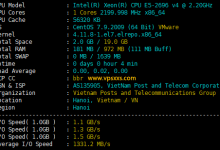 TotHost越南双ISP VPS测评：越南原生住宅IP适合Tiktok短视频直播外贸，速度快硬件好_vps加油站