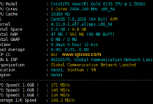IPRaft越南双ISP VPS测评:双ISP适合Tiktok运营,到国内三网绕路延迟高需中转使用_vps加油站