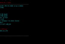 莱卡云韩国原生VPS测评【商家提供】_vps加油站