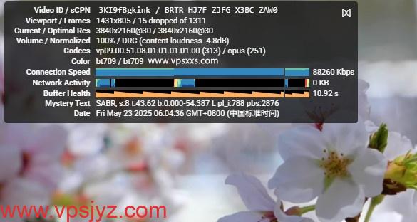 六六云美国双ISP VPS看youtube