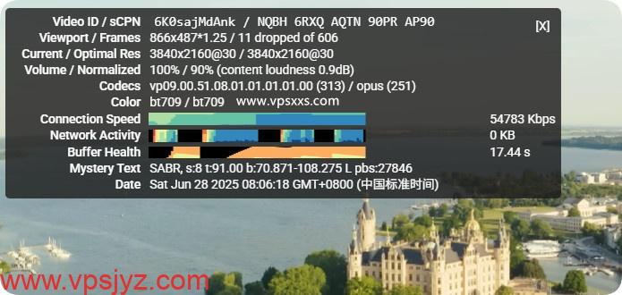 DigiRDP美国洛杉矶VPS看youtube