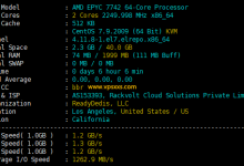 DigiRDP美国洛杉矶VPS测评:美国原生IP解锁好,AMD EPYC 7742硬件优异,可选Windows是优势_vps加油站