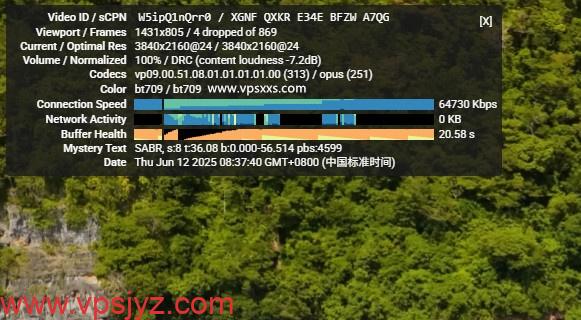 LOCVPS韩国双ISP原生IP VPS看youtube
