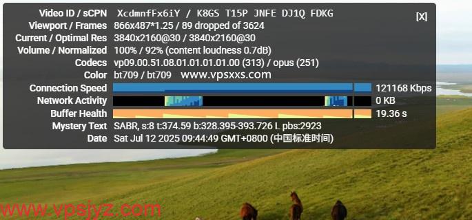 DMIT日本T1系列VPS看youtube