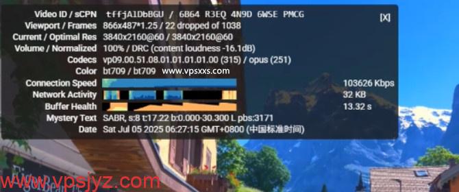 HostDare美国AMD VPS看youtube
