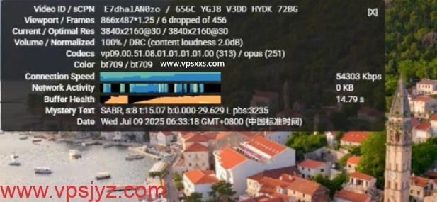 丽萨主机德国住宅IP VDS看youtube