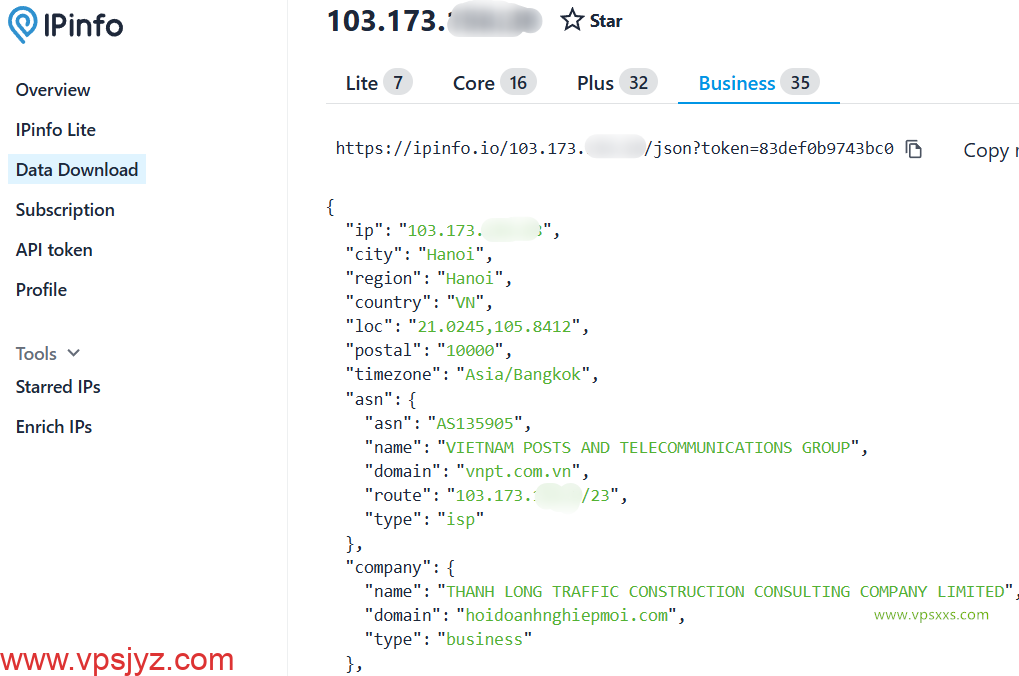 DataOnline越南VPS ipinfo.io是否住宅IP检测