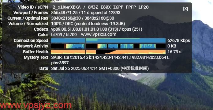 DataOnline越南VPS看youtube