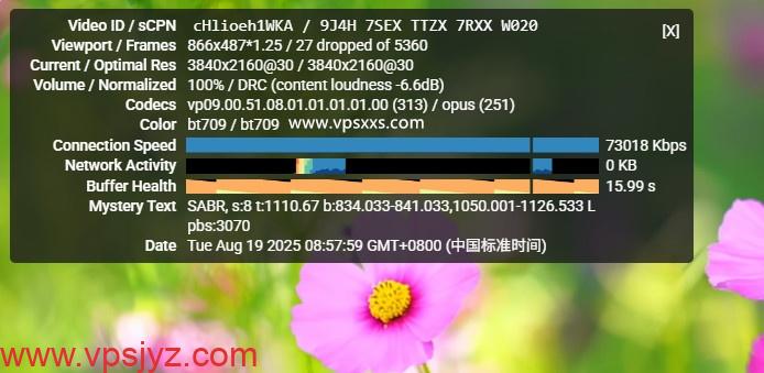 Kuroit美国芝加哥VPS看youtube