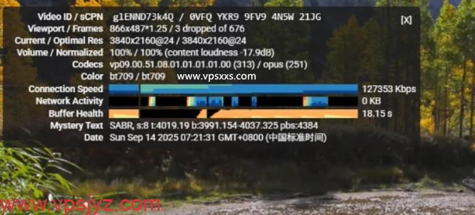 六六云美西NTT原生双ISP VPS看youtube