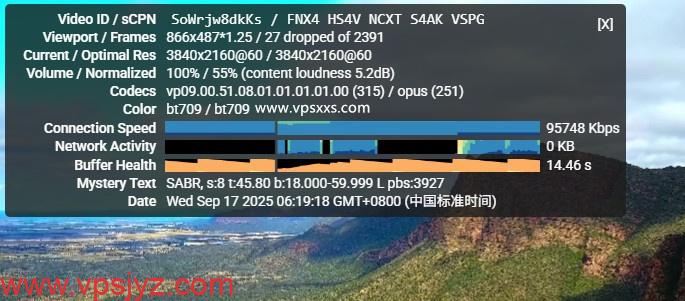 搬瓦工美国纽约CN2 GIA VPS看youtube