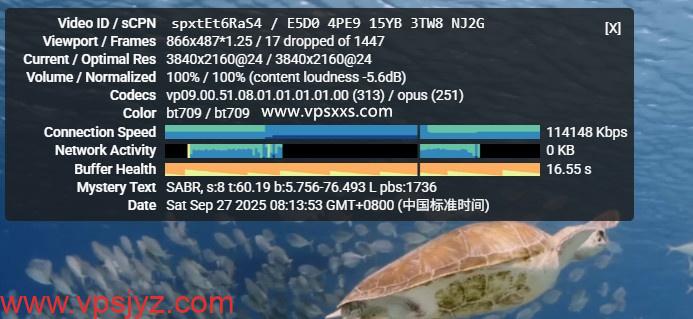 丽萨主机香港三网直连VPS看youtube