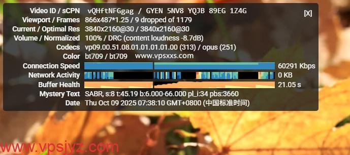 荫云日本双ISP VPS看youtube