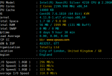 丽萨主机英国GTT住宅VPS测评：ping0判断双ISP英国原生IP，IP纯净度高，看视频10万+速度，三网往返直连（移动去程绕美）_vps加油站