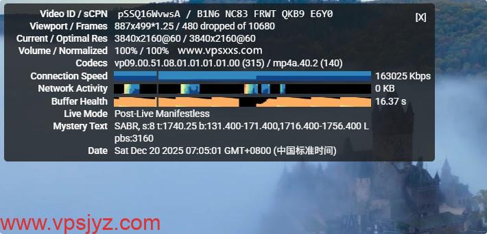 RAKsmart美国西雅图大陆优化VIP VPS看视频