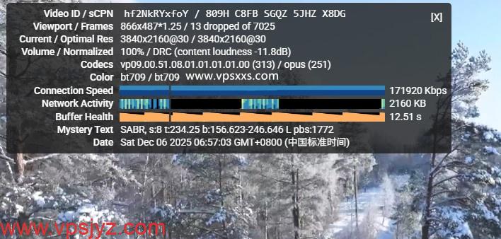 丽萨主机香港iCable住宅VPS看youtube