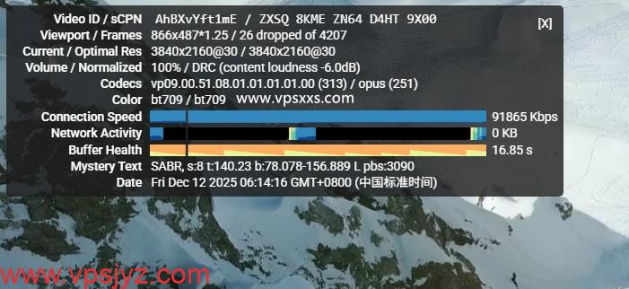 六六云德国原生IP VPS看youtube