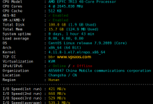 LOCVPS湖南移动VPS测评:三网强制走移动CMI延迟低,300M带宽充裕,建站Windows VPS挂机均适合_vps加油站