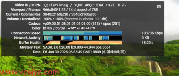 Tudcloud美国西雅图VPS看youtube