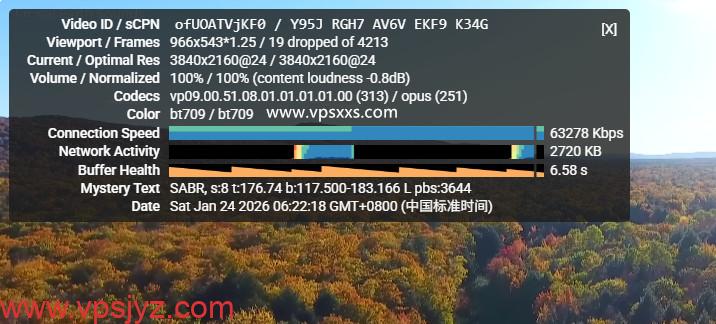 WePC马来西亚TikTok VPS看youtube