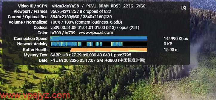 丽萨主机越南双ISP VPS看youtube