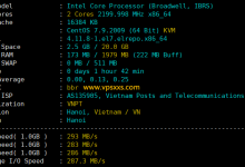 荫云越南双ISP VPS测评：越南原生家庭IP，IP纯净度高流媒体AI解锁优异，25端口开放，但带宽缩水严重看视频速度慢_vps加油站
