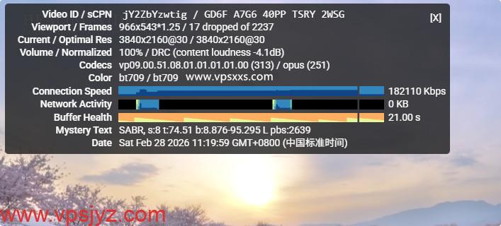 ZgoCloud日本东京VPS看youtube