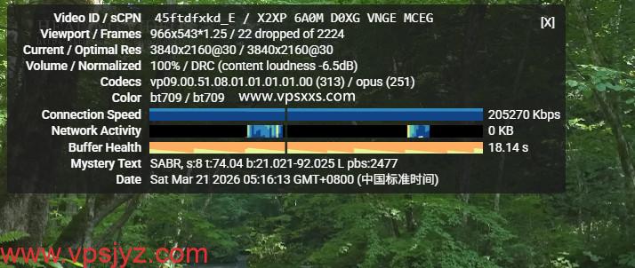 vmiss日本东京BGP VPS看youtube