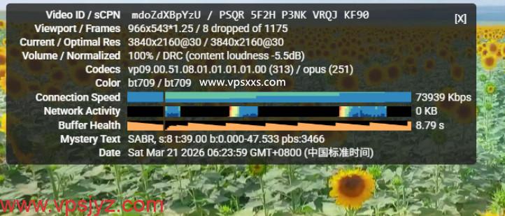 荫云德国双ISP VPS看youtube