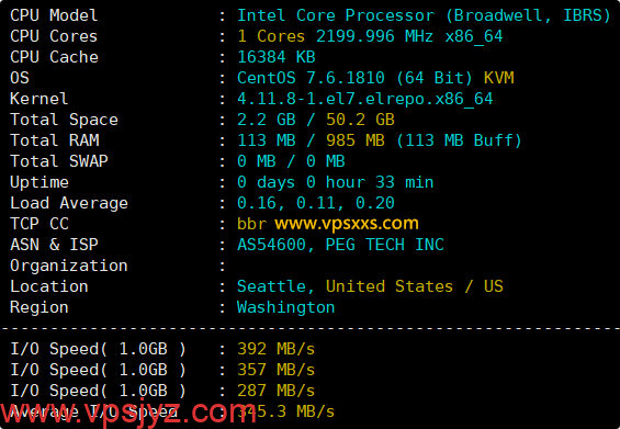 RAKsmart美国西雅图国际BGP VPS硬件测试