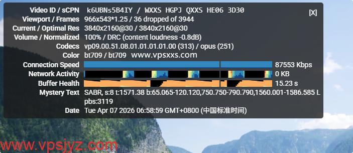 RackNerd荷兰VPS看youtube