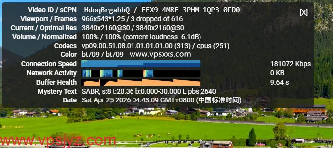 StarryDNS香港VPS看youtube