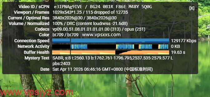 VinaHost越南VPS看youtube