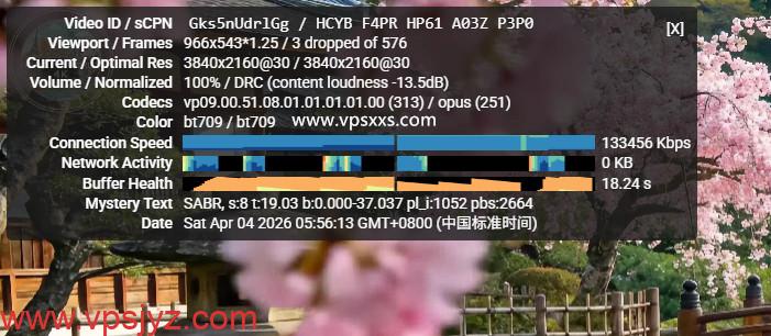 ZgoCloud美国三网精品VPS看youtube