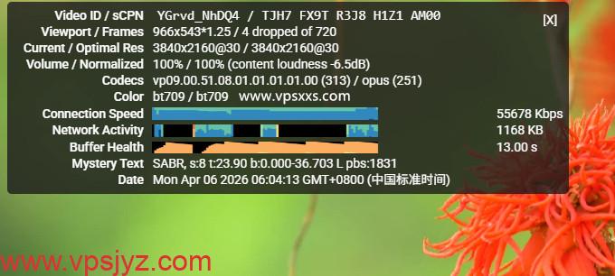 vmiss韩国首尔三网优化VPS看youtube