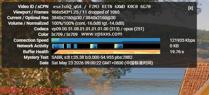 AlexHost法国VPS看youtube