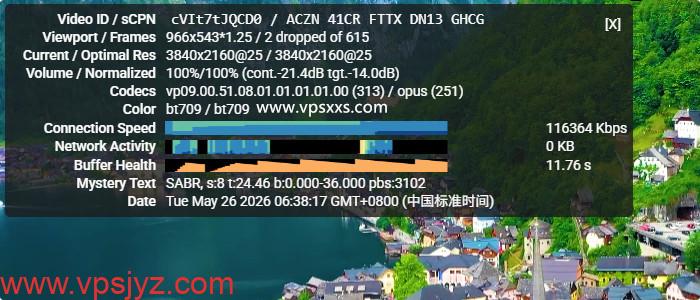 DediOne美国洛杉矶优化VPS看youtube