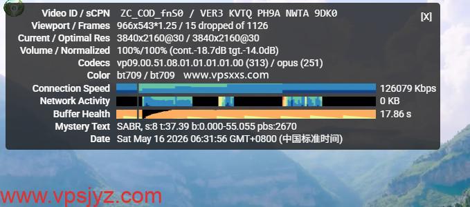 RAKsmart美国硅谷精品CN2 VPS看youtube