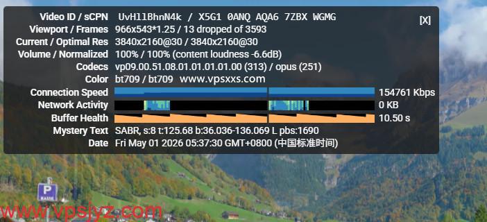 RAKsmart马来西亚大陆优化VPS看youtube