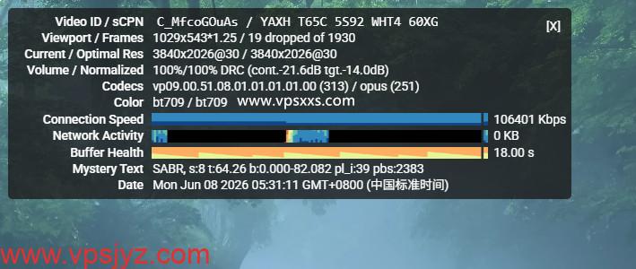 DediOne美国洛杉矶CN2 VPS看youtube