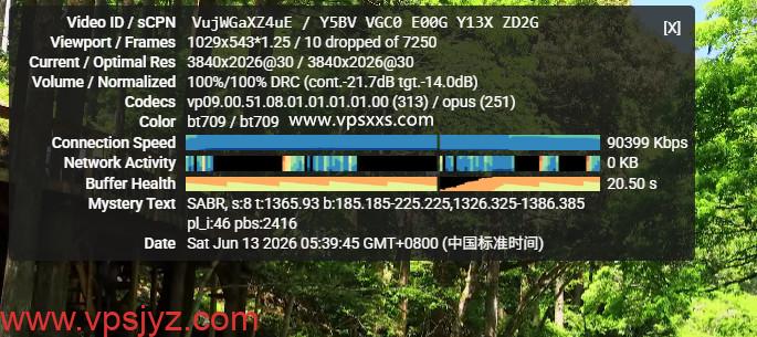 NovixLink美国Cox真家宽IP VPS看youtube