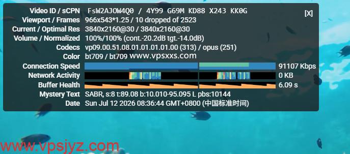 NovixLink美国高防VPS看youtube